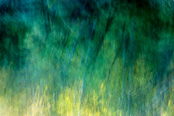 DSC_6865-Edit