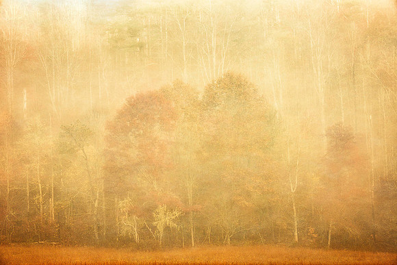 DSC_7190-Edit-Edit