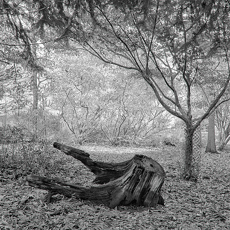 Rollei_HH_15-2_HDR