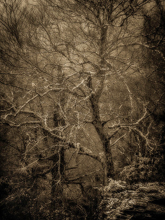 IMG_0146-Edit
