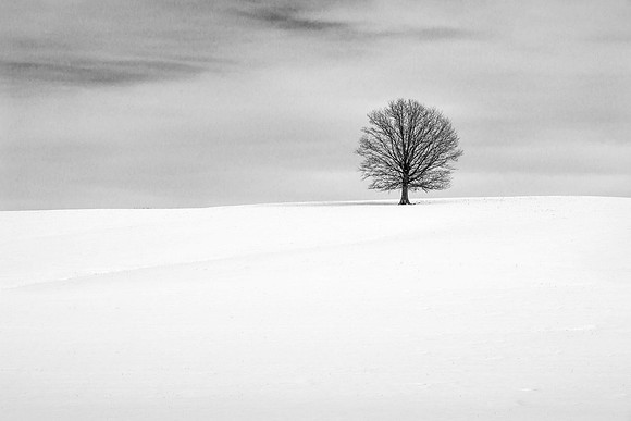 _DSC1703-Edit-Edit