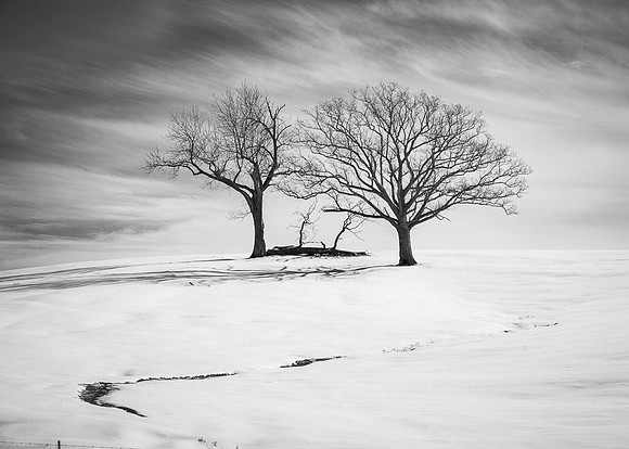 _DSC1977-Edit-Edit