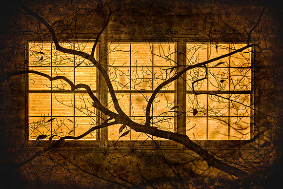 DSC_7078-Edit-Edit