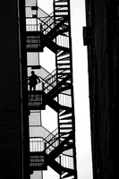 _DSC6696