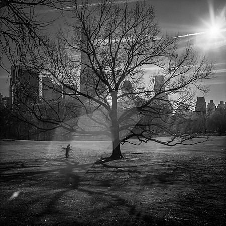 Rollei_Jan_'16_20