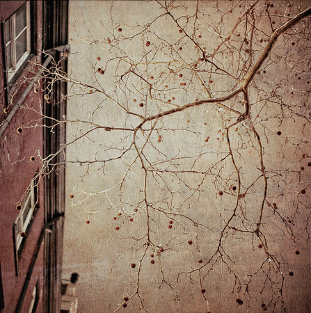 Rollei_Night_Jan_03