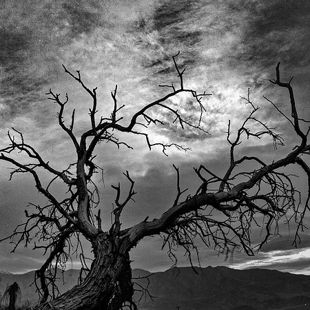 Rollei_DeathValleyB&W_13