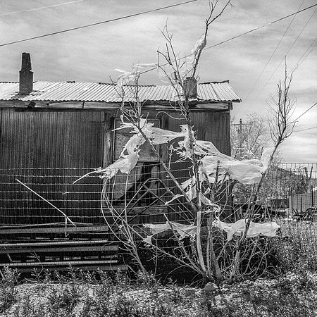 Rollei_BeattyNV_03
