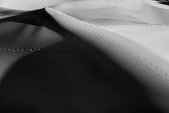 DSC_6240-Edit