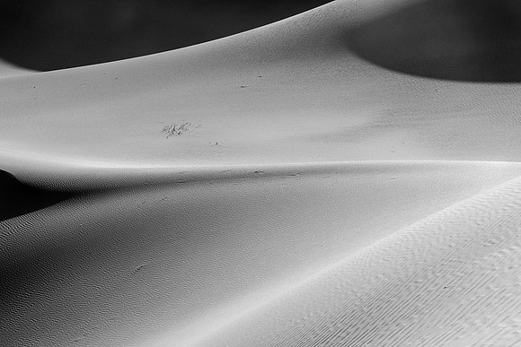 DSC_6246-Edit