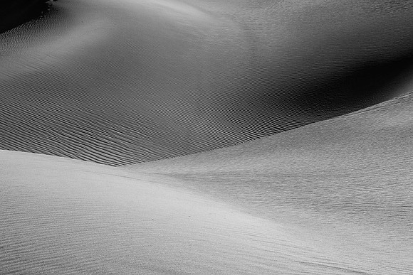 DSC_6263