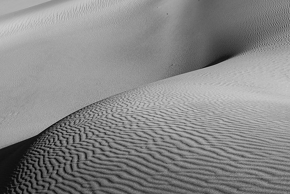 DSC_6269