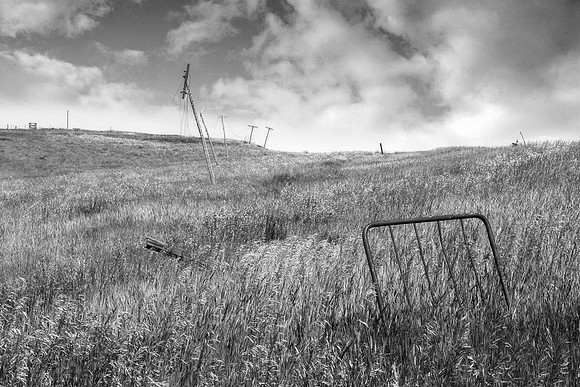 DSC_6274-Edit-Edit