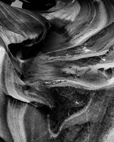 Desert Rhythms