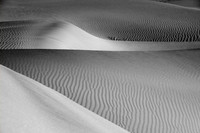 DSC_0934-Edit