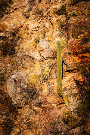 _DSC3244-Edit