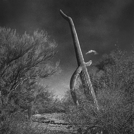 Rollei-Tucson2025_57-Edit