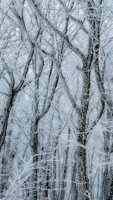 _DSC4754-Edit