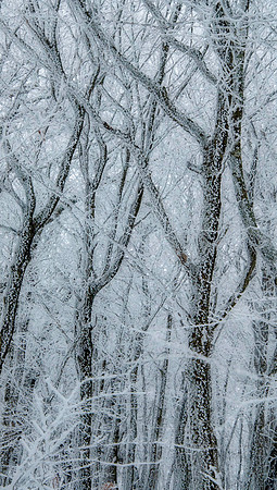 _DSC4754-Edit