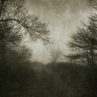NC-2023 _09-Edit-2