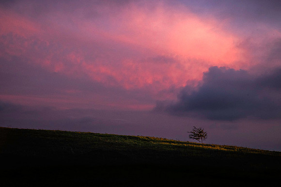 _DSC8394-Edit
