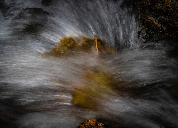 _DSC1940