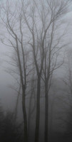 _DSC2883-Pano