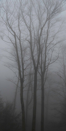 _DSC2883-Pano
