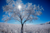 _DSC2993-Edit-2
