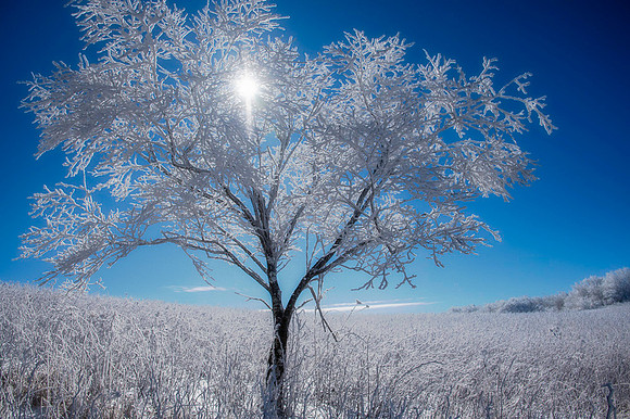 _DSC2993-Edit-2