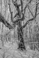 _DSC3027
