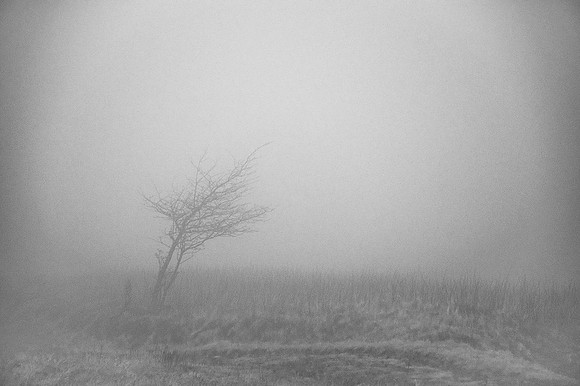 _DSC6443