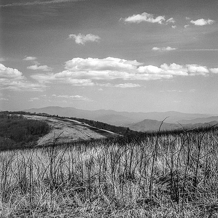 Rollei-WolfLaurel2025_11
