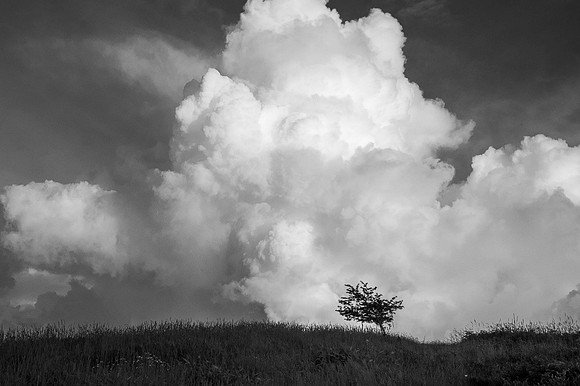 _DSC7200