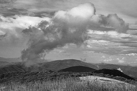 _DSC7601