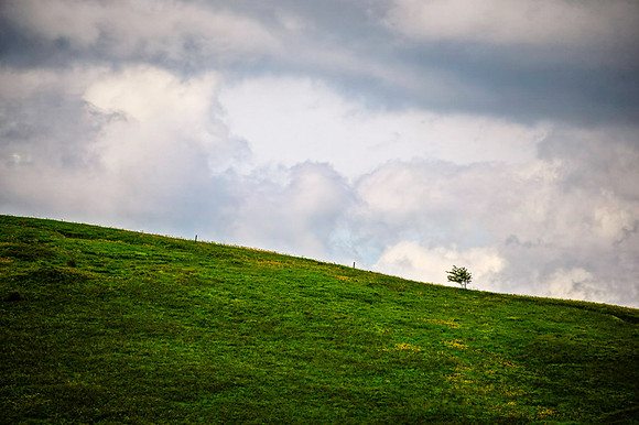_DSC8548-Edit