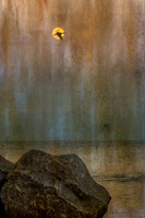 _DSC4326-Edit-Edit