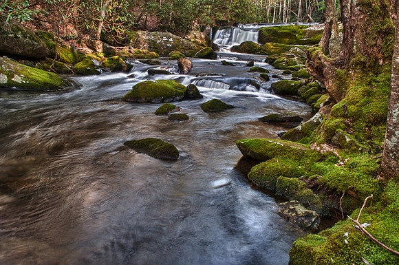 DSC_6604_HDR