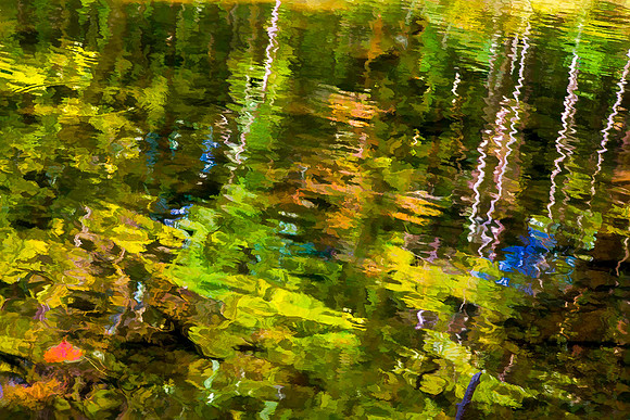 DSC_8742-Edit