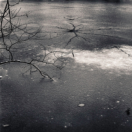 Rollei_December_2013_ 01