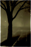 _DSC9204-Edit-Edit-Edit