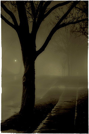 _DSC9204-Edit-Edit-Edit