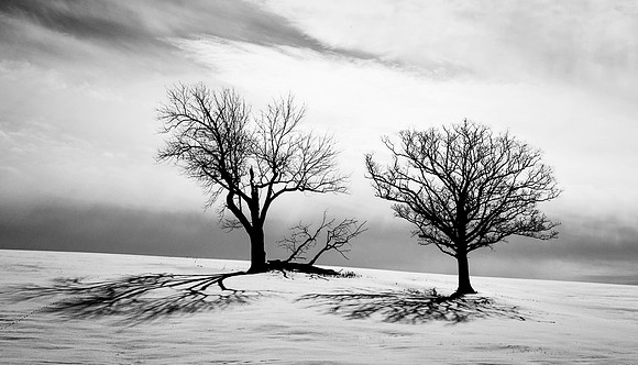 _DSC1988-Edit