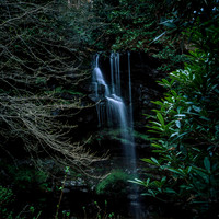 RolleiGumSwamp_10