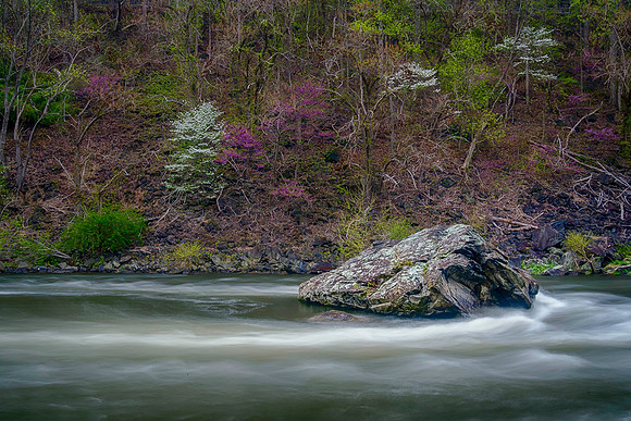 _DSC3105_HDR-Edit