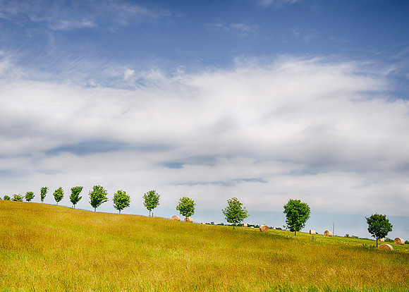 _DSC5941_HDR