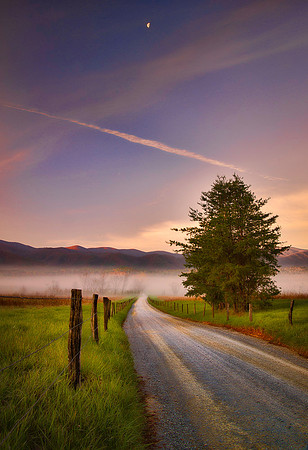 _DSC3780-Edit