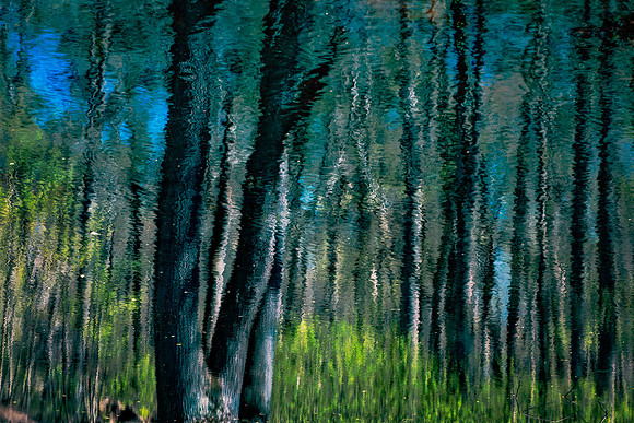 DSC_4168-Edit-Edit
