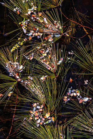 DSC_4151-HDR-Edit-Edit