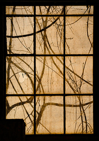 DSC_2896-HDR-Edit